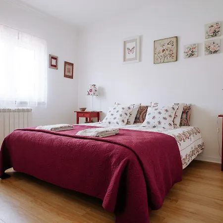 Petunia - Cascais