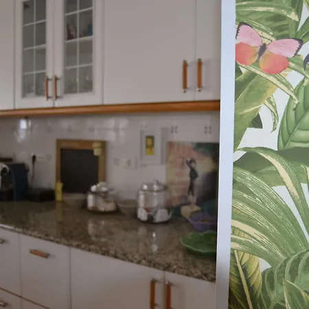 Petunia - 게스트하우스 카스카이스