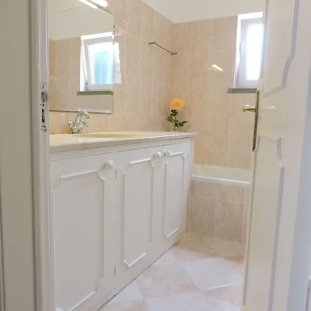 Petunia - 招待所 3*