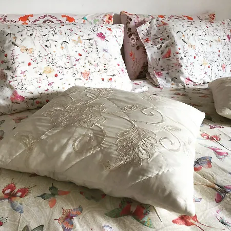 게스트하우스 Petunia - 카스카이스