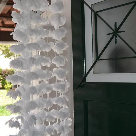 Petunia - Maison d'hôtes Cascais