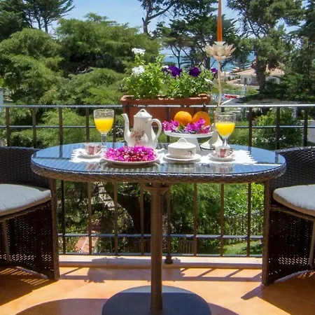 Maison d'hôtes Petunia - Cascais